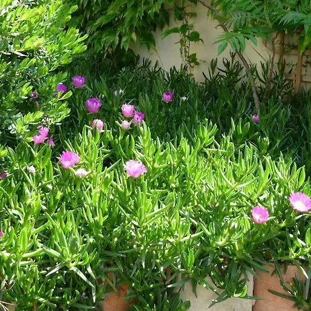 Cote Sud T2 Avec Terrasse Privative Apartmán Martigues