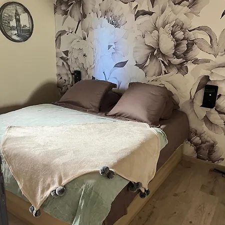 Cote Sud T2 Avec Terrasse Privative *
